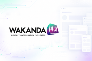 Wakanda 4.0 | Website Development in Aurora